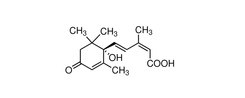 ABSCISIC ACID 98% EXTRAPURE (ABA)